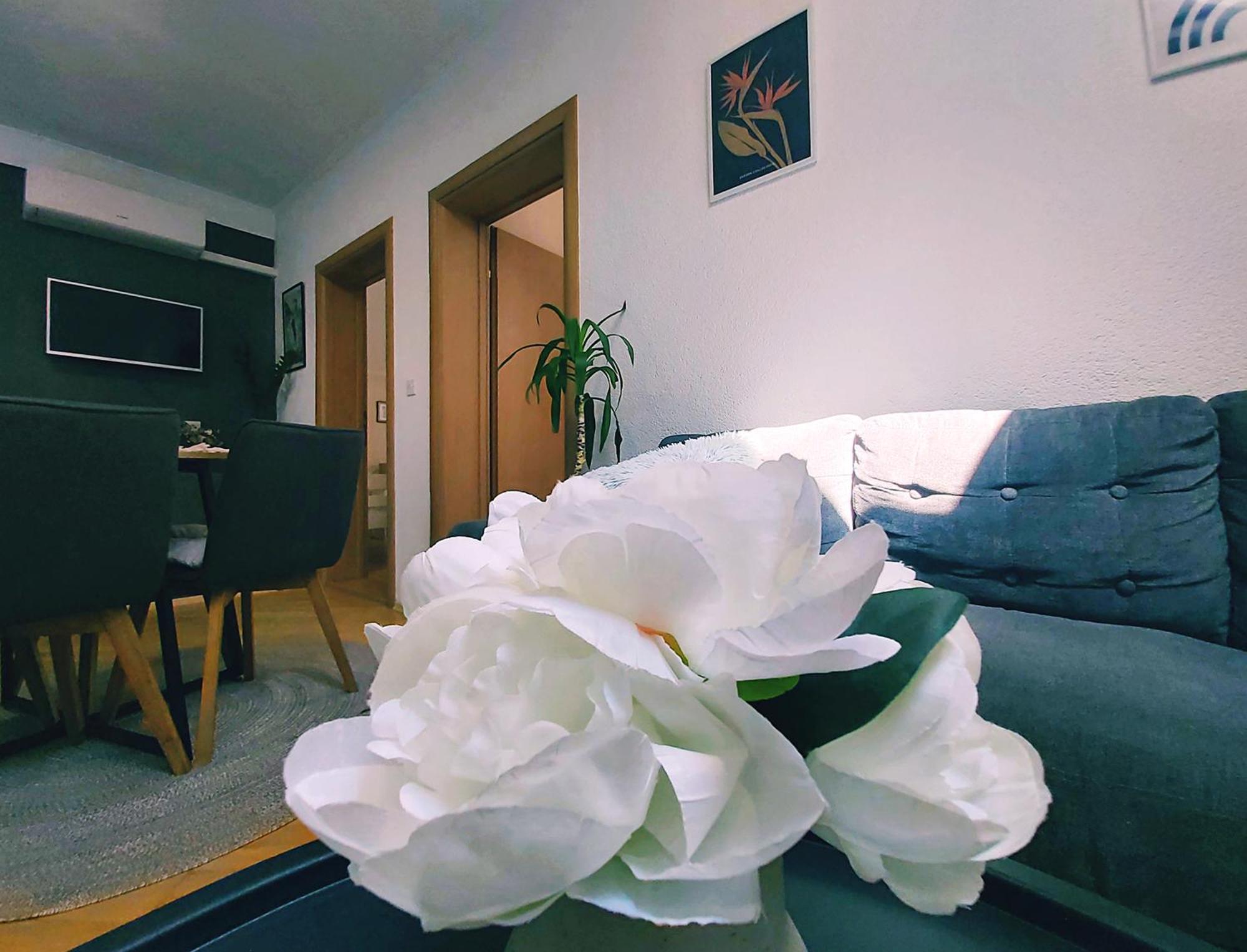 Zara Apartment With Terrace Near Old Town Mostar Exterior foto